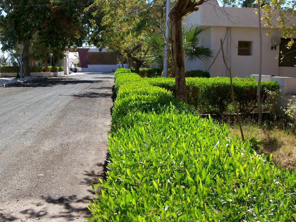 Nefertari Hotel Abu Simble Abú Simbel Exteriér fotografie
